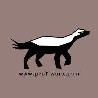 prof-worx logo image