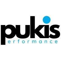 pukis.com.br