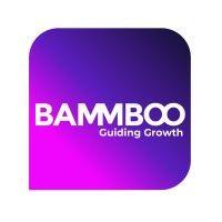 bammboo - growth hacking agency