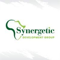 synergetic development group (sdg) logo image