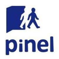 pinel ggmbh logo image