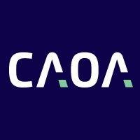 grupo caoa logo image