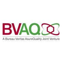 bvaq logo image