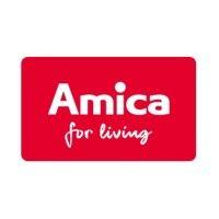 amica group logo image