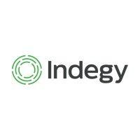 indegy logo image