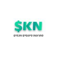 skn finance portal