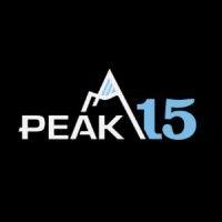 peak 15 systems logo image