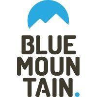 blue-mountain logo image