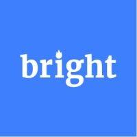 bright data logo image