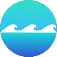 wave social logo image