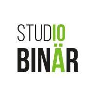 studio binaer logo image