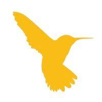 hummingbird resources plc logo image