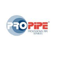 pro-pipe (professional pipe services) logo image