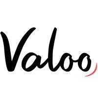 valoo logo image