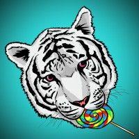 supplytiger logo image