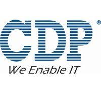 cdp india pvt. ltd.