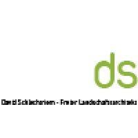 ds logo image