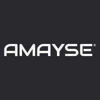 amayse logo image