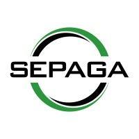 sepaga emi logo image