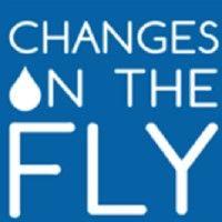 changes on the fly logo image