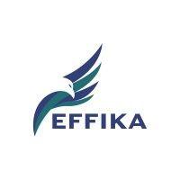 effika group logo image