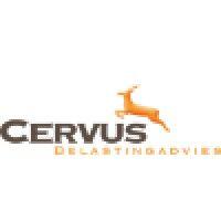 cervus tax logo image