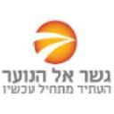 logo of Bridge For Youth Israel