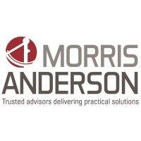 morrisanderson & associates, ltd. logo image