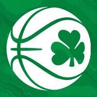 basketball ireland logo image