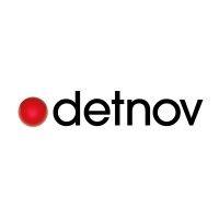 detnov security s.l. logo image