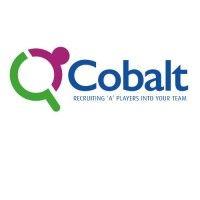 cobalt search logo image