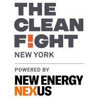 the clean fight logo image