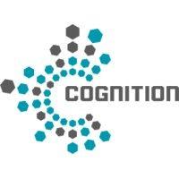 cognition ies logo image