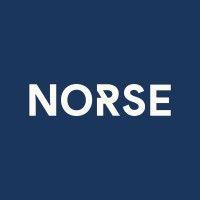 norse digital logo image