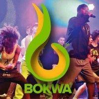 bokwa fitness logo image