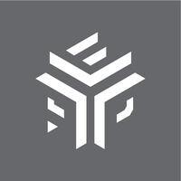 emil anderson properties logo image