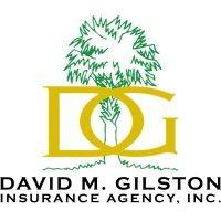 david m. gilston insurance agency, inc. logo image