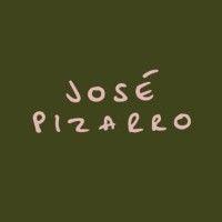 josé pizarro group logo image