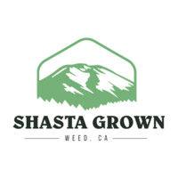 shasta grown logo image