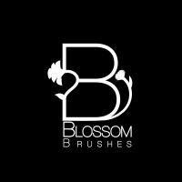 blossom brushes logo image