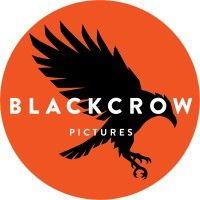 blackcrow pictures logo image