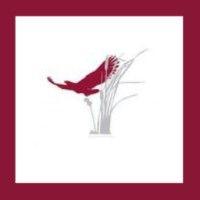 chv winery - cooper's hawk vineyards and the vines restaurant logo image