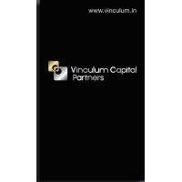 vinculum capital partners logo image