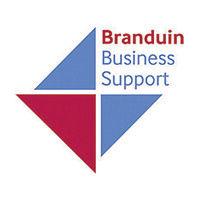 branduin business support logo image