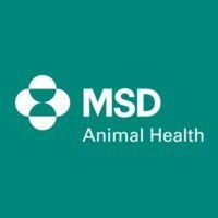 msd animal health – swine team