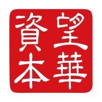 望华资本（merger china group） logo image