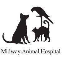 midway animal hospital - homosassa, fl logo image