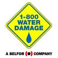 1-800 water damage of washtenaw county & taylor logo image