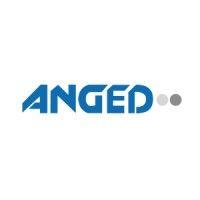 anged, asociación nacional de grandes empresas de distribución