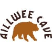 aillwee cave co ltd logo image